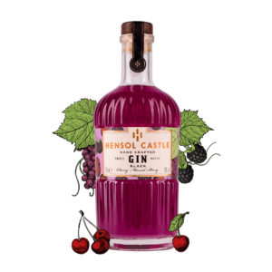 Hensol Castle Black Gin