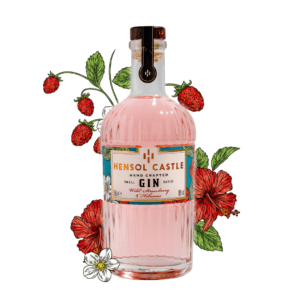 Hensol Castle Wild Strawberry & Hibiscus Gin