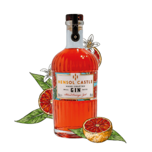 Hensol Castle Blood Orange Zest Gin