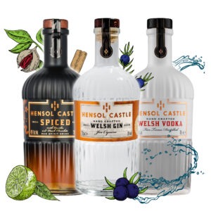 Hensol Castle Trio Gift Set