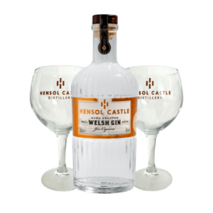Hensol Castle Gin Goblet Gift Set